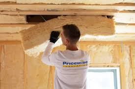 Eco-Friendly or Green Insulation Solutions in Hamburg, IA